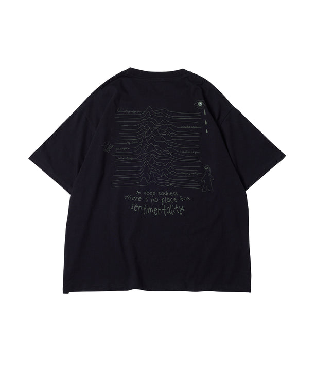 TOPS – AIVER